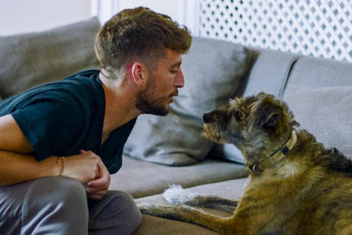 Hond Dries Mertens En Kat Kerkhofs Steelt De Show In Nieuw VTM ...