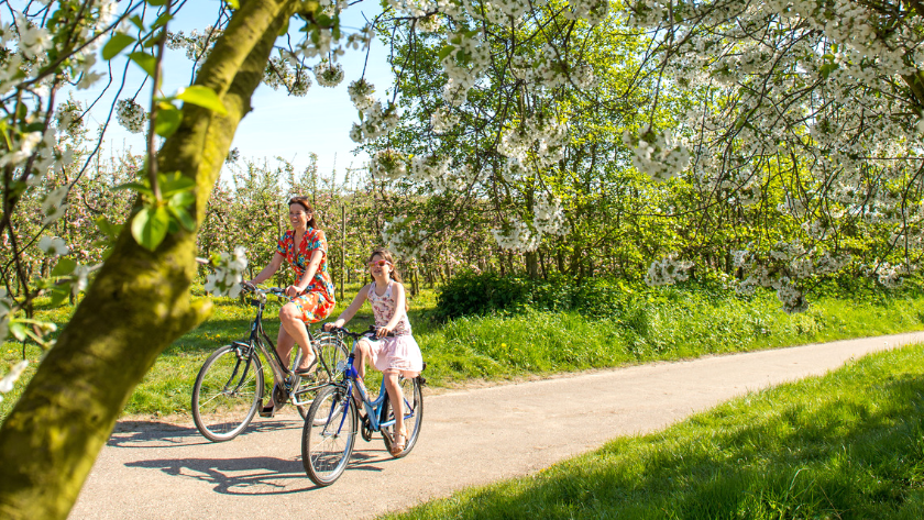 20x zalig wandelen en fietsen tussen de bloesems - Libelle