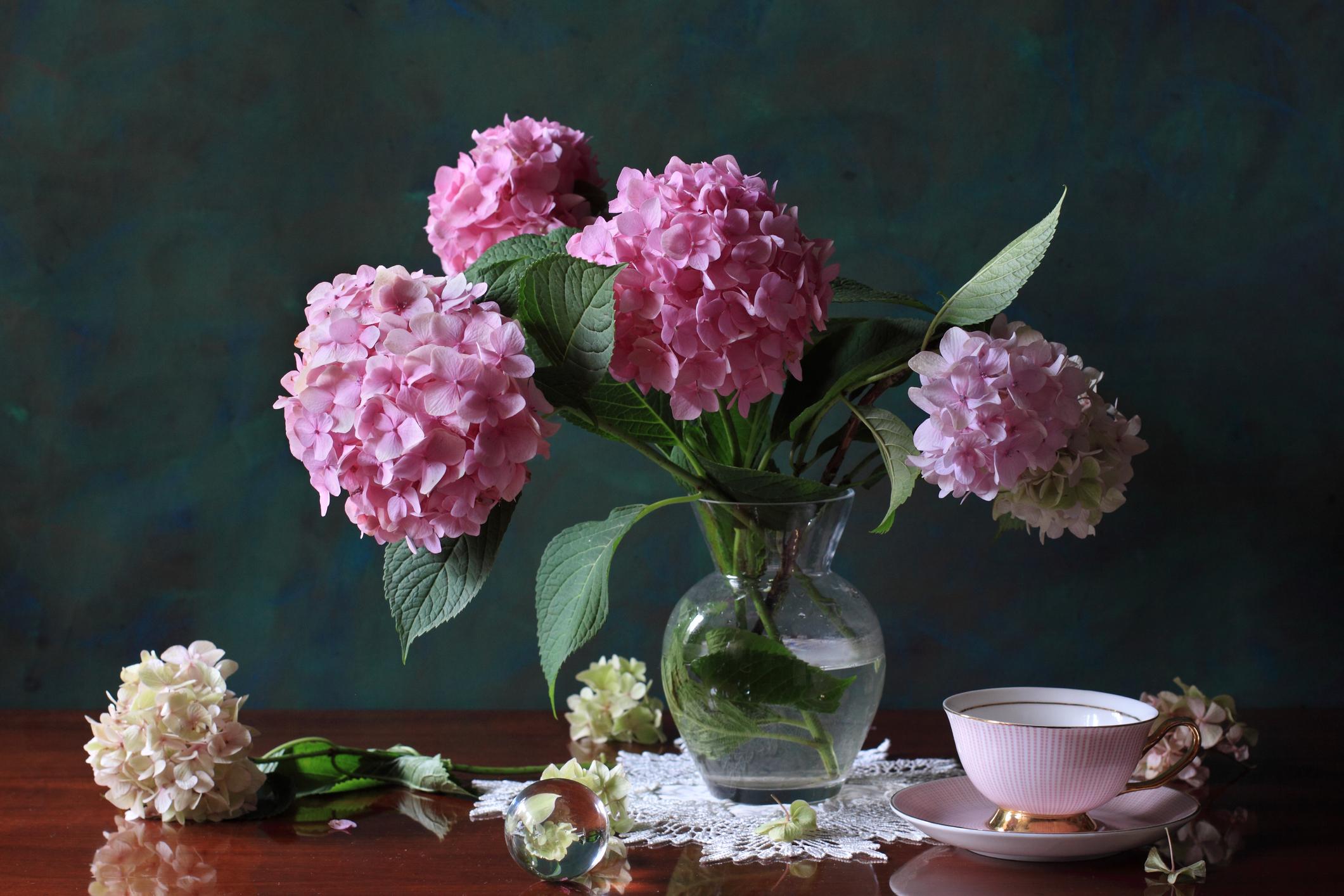 Fête Des Mères Quelles Fleurs Offrir Femmes Daujourdhui 