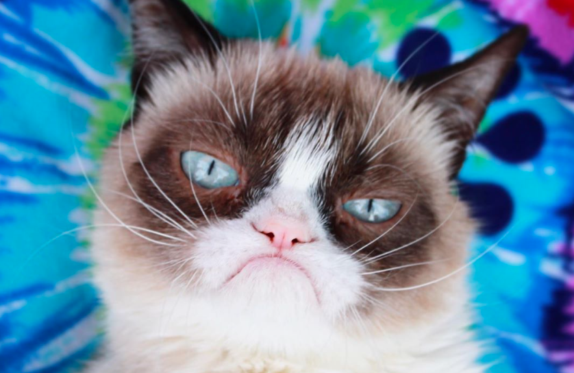 Le Petit Chat Est Mort Molière Signification