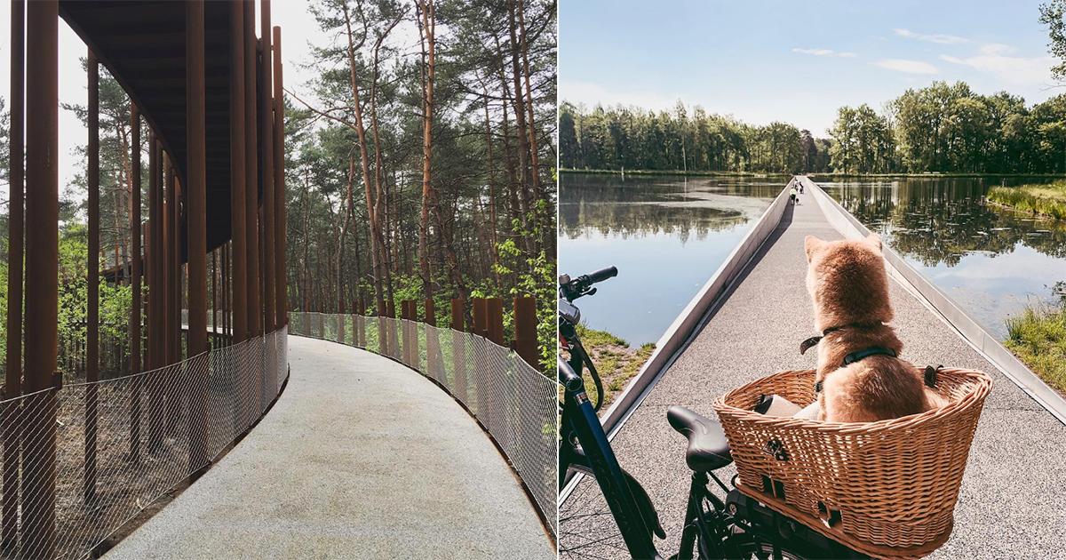 Fietsen door de Bomen' in het Limburgse Hechtel-Eksel