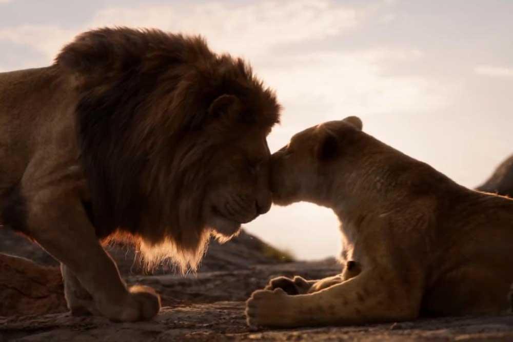 Il Re Leone Can You Feel The Love Tonight