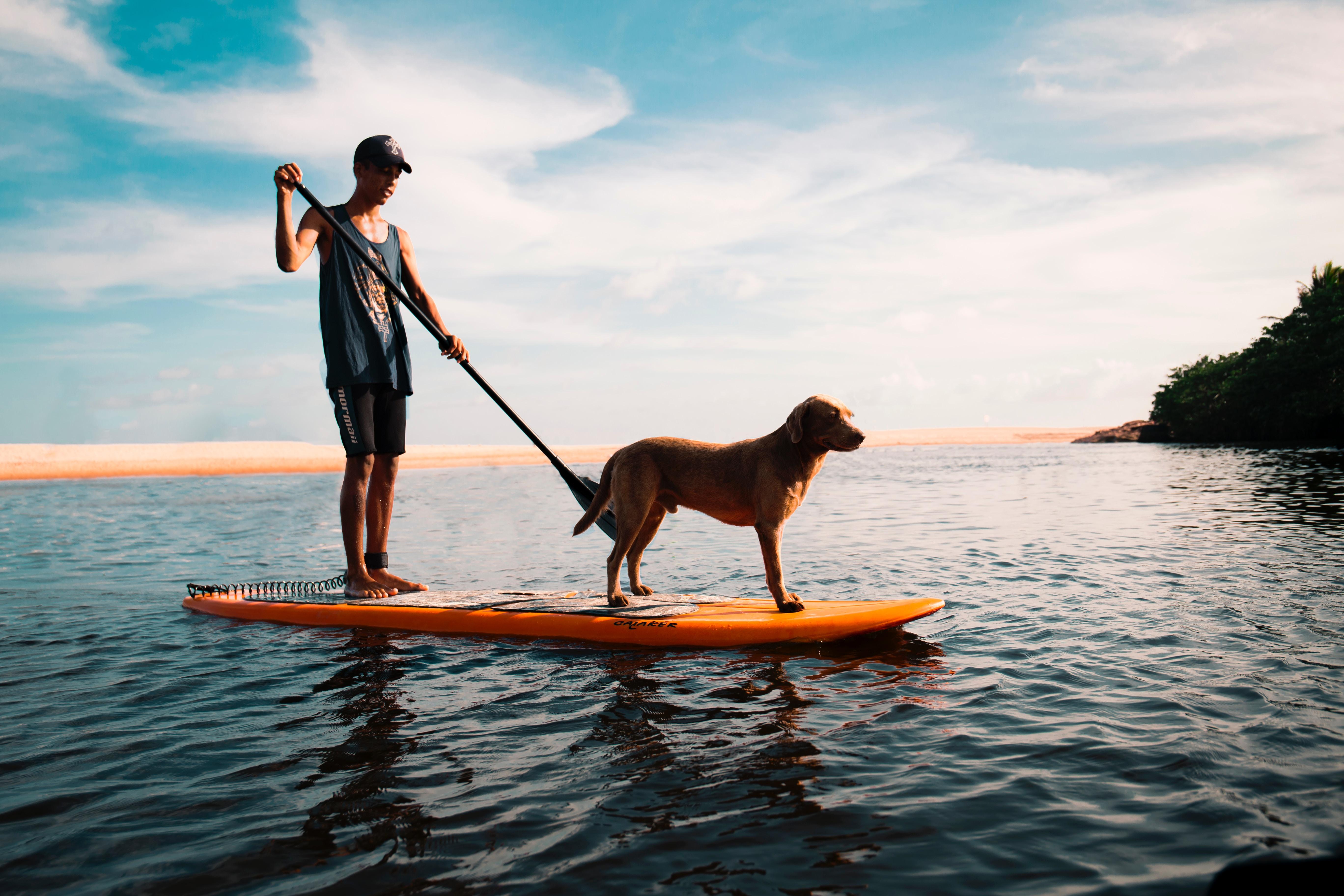 Où Faire Du Stand Up Paddle En Belgique