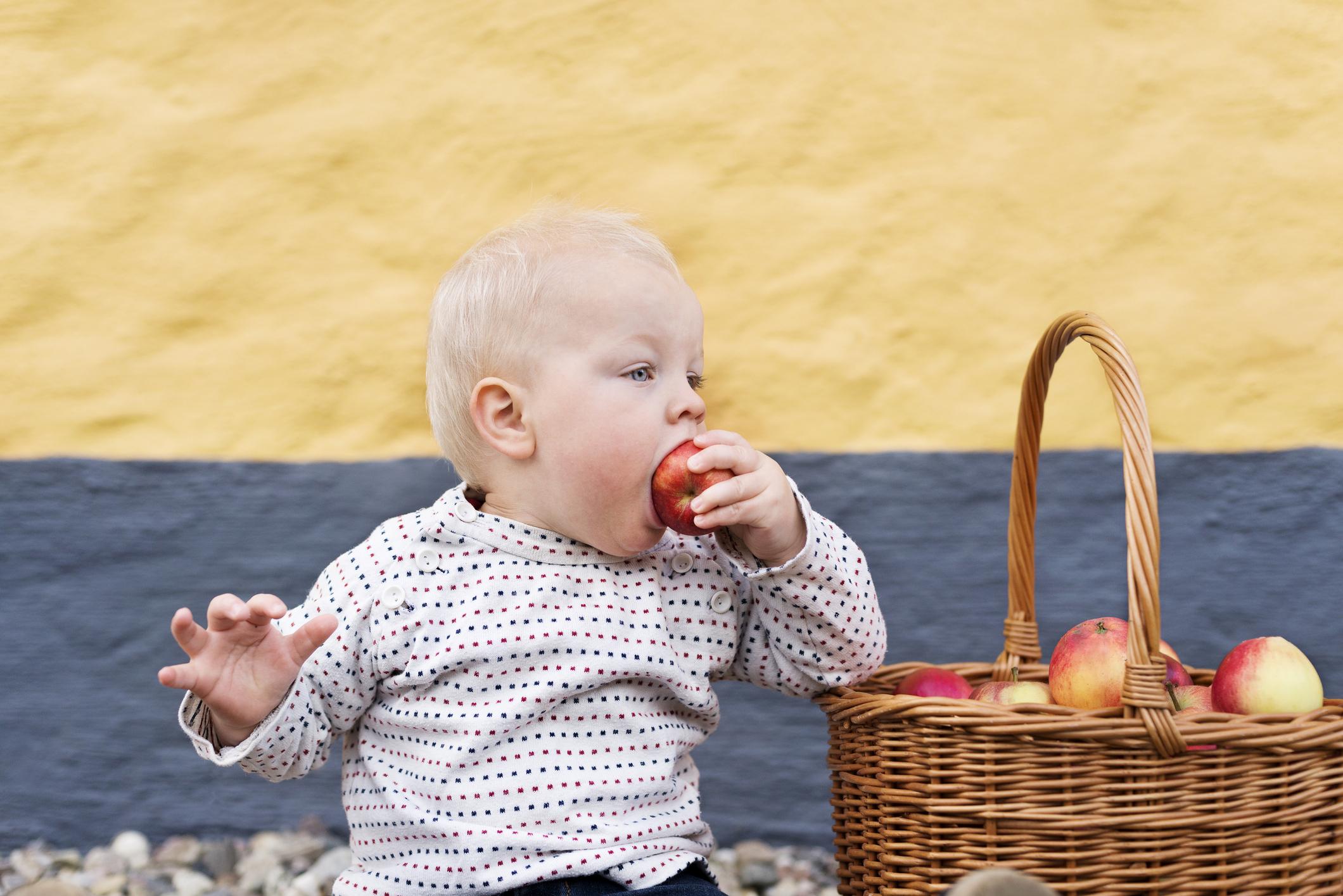 Les Pommes Quand Et Comment Integrer Ce Fruit A L Alimentation De Bebe Femmes D Aujourd Hui Mamans