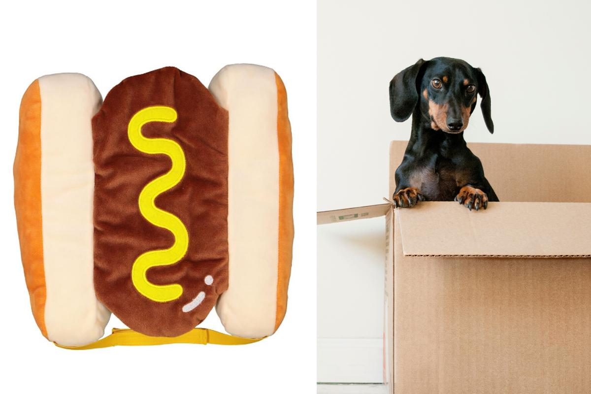 Fonkelnieuw Dankzij dit hotdogpakje van Hema ziet je hond er écht uit om op te GI-85
