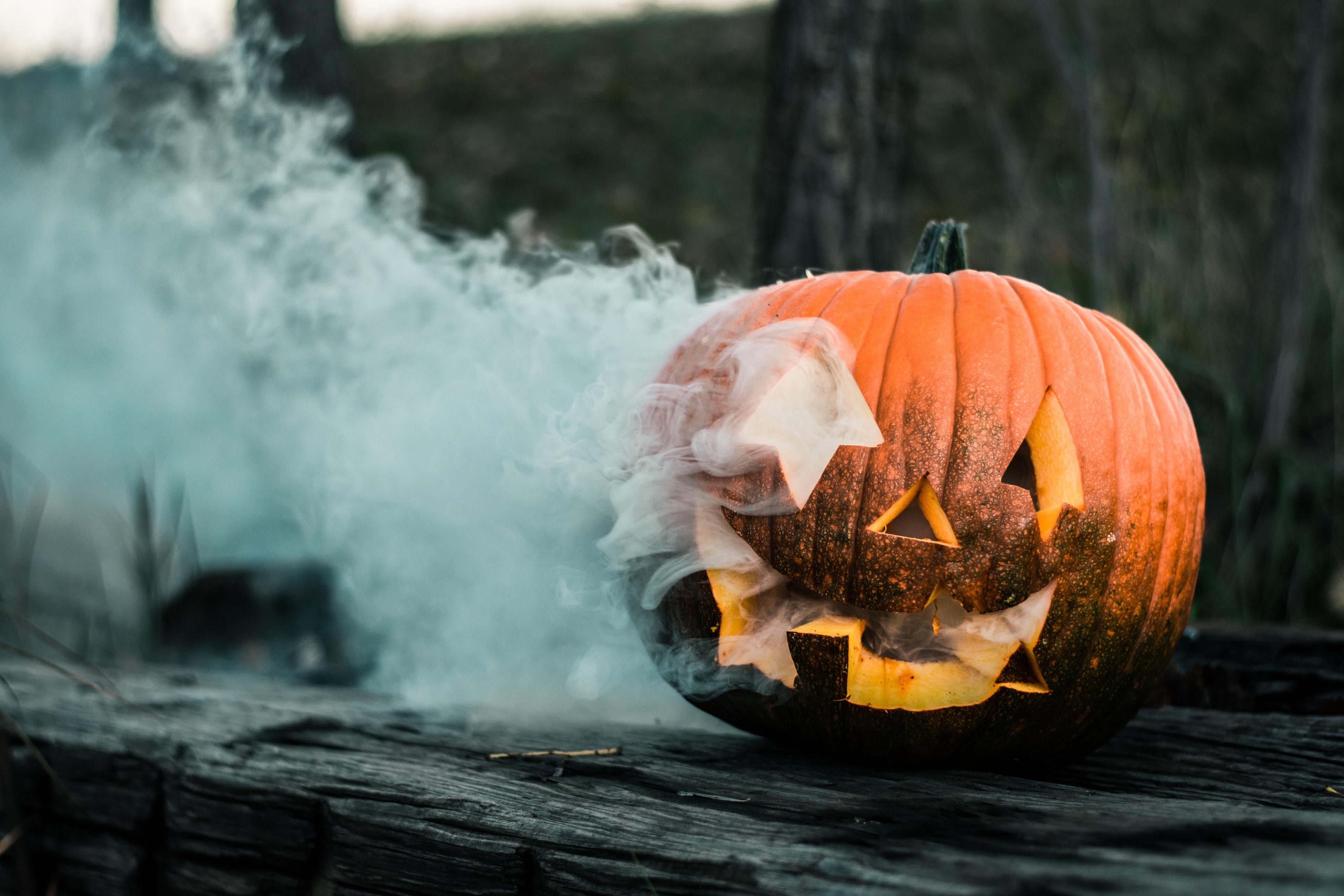 Waouw: Pairi Daiza dévoile ses premières photos d'Halloween