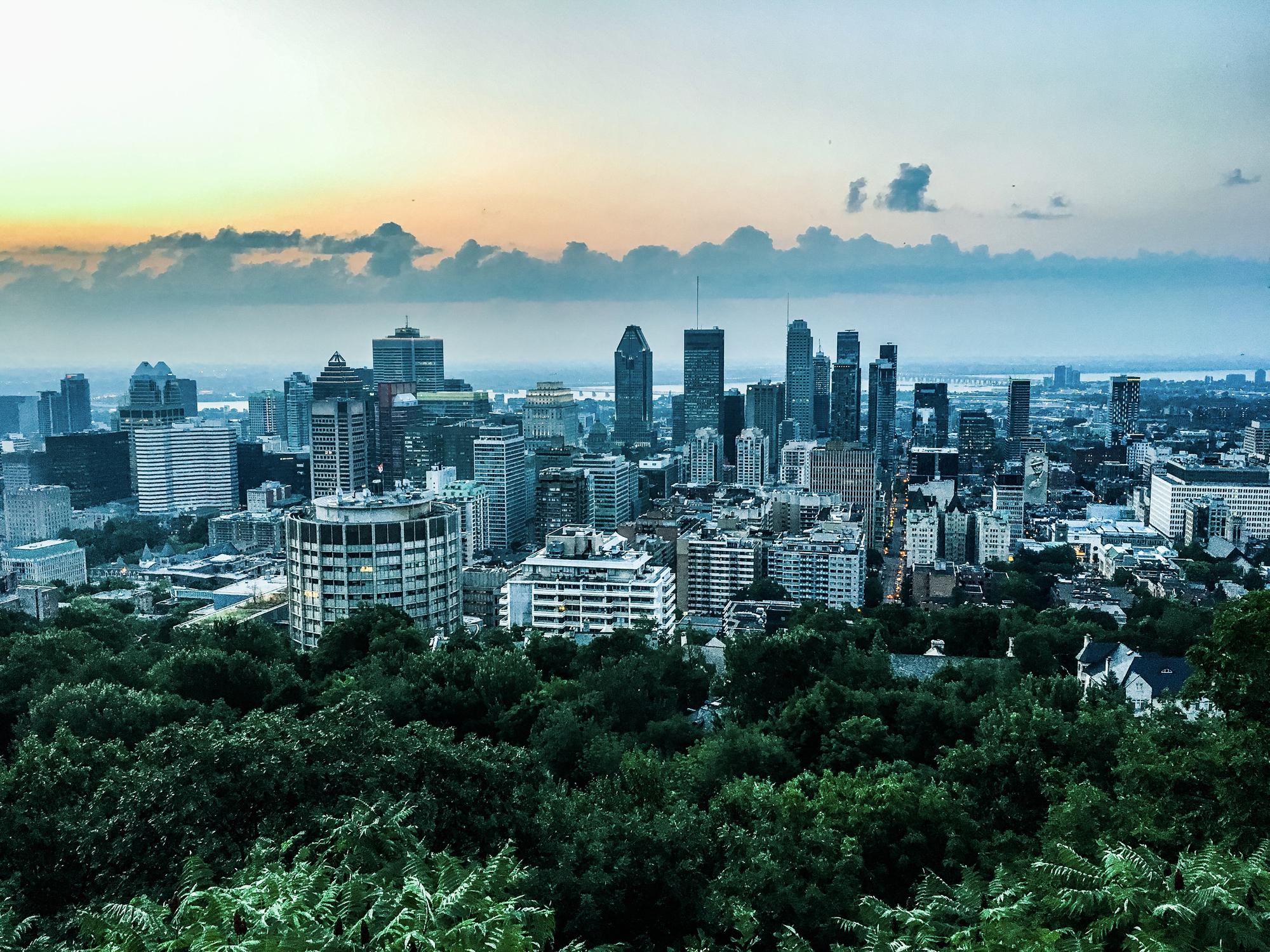 Montréal 7 endroits incontournables pour profiter de la ville à chaque