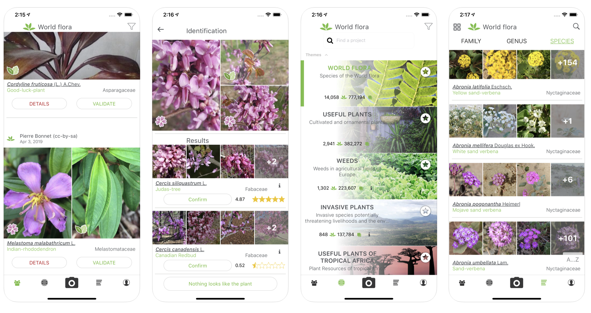 Scheur Gelach kapitalisme 6 apps om planten te herkennen - Libelle