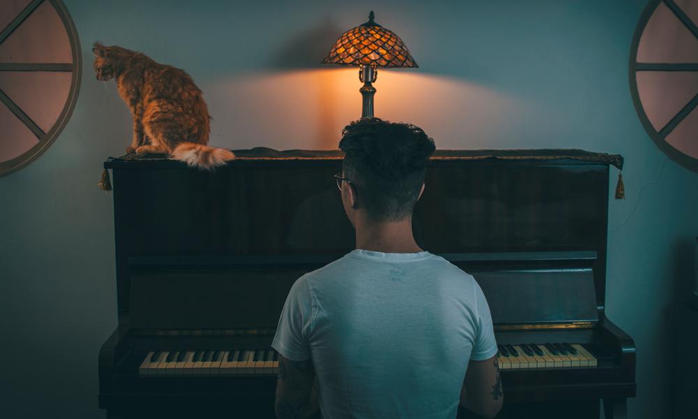 Video Ce Musicien Joue Du Piano Pour Ses Chats Et Ils Adorent Ca Femmes D Aujourd Hui