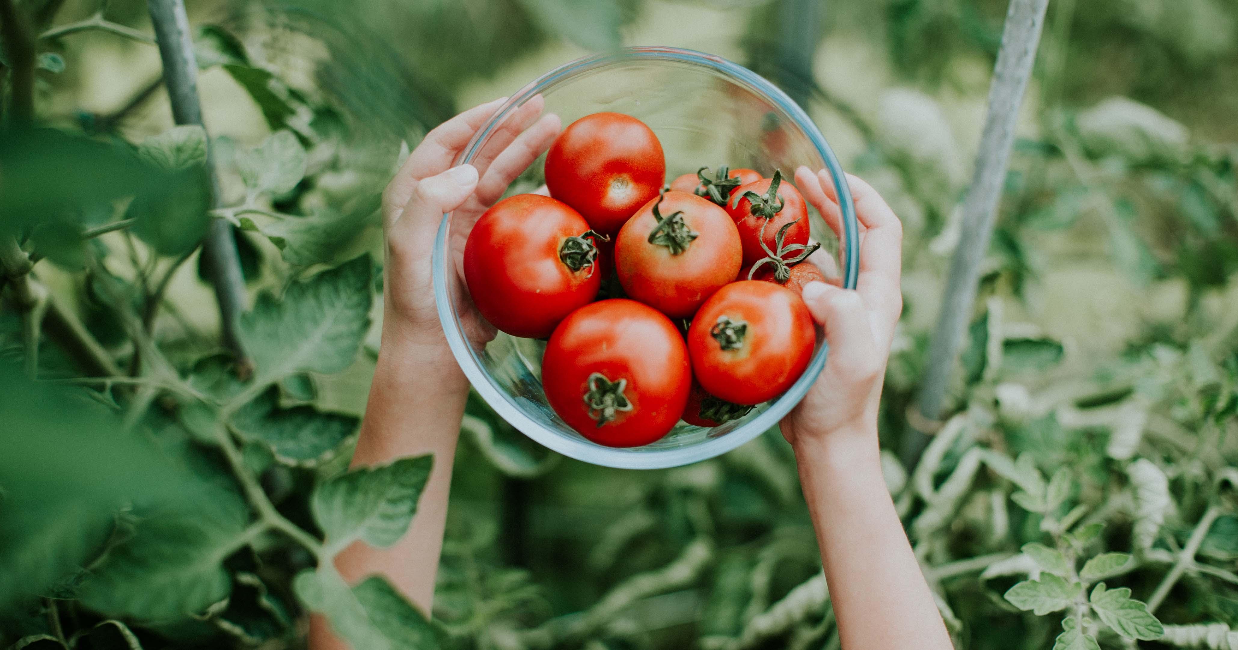 Deze Groenten Mag Je Nu Al In Je Moestuin Planten