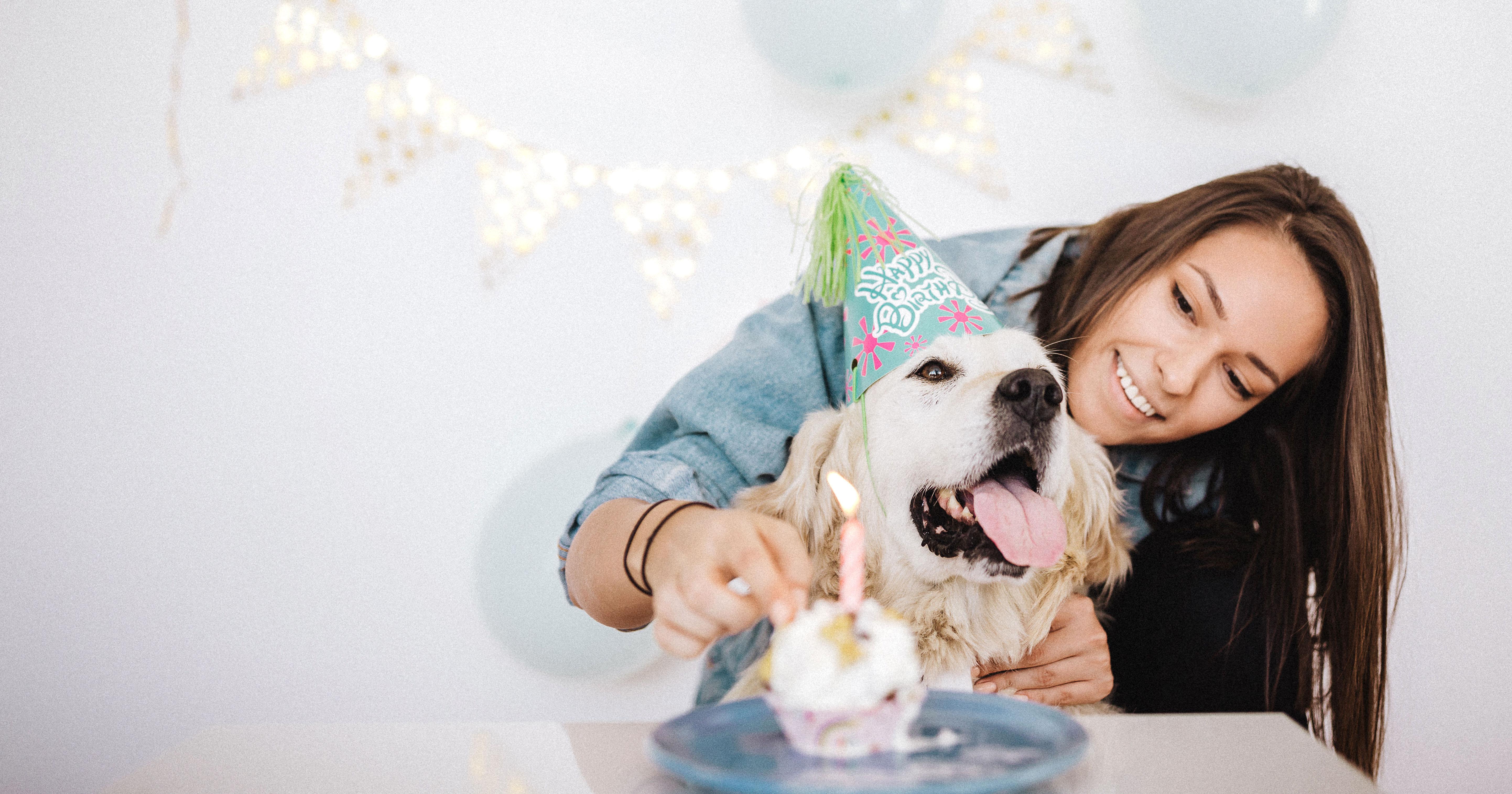 Verbazingwekkend RECEPT: gezonde taart om je hond mee te verwennen JP-11