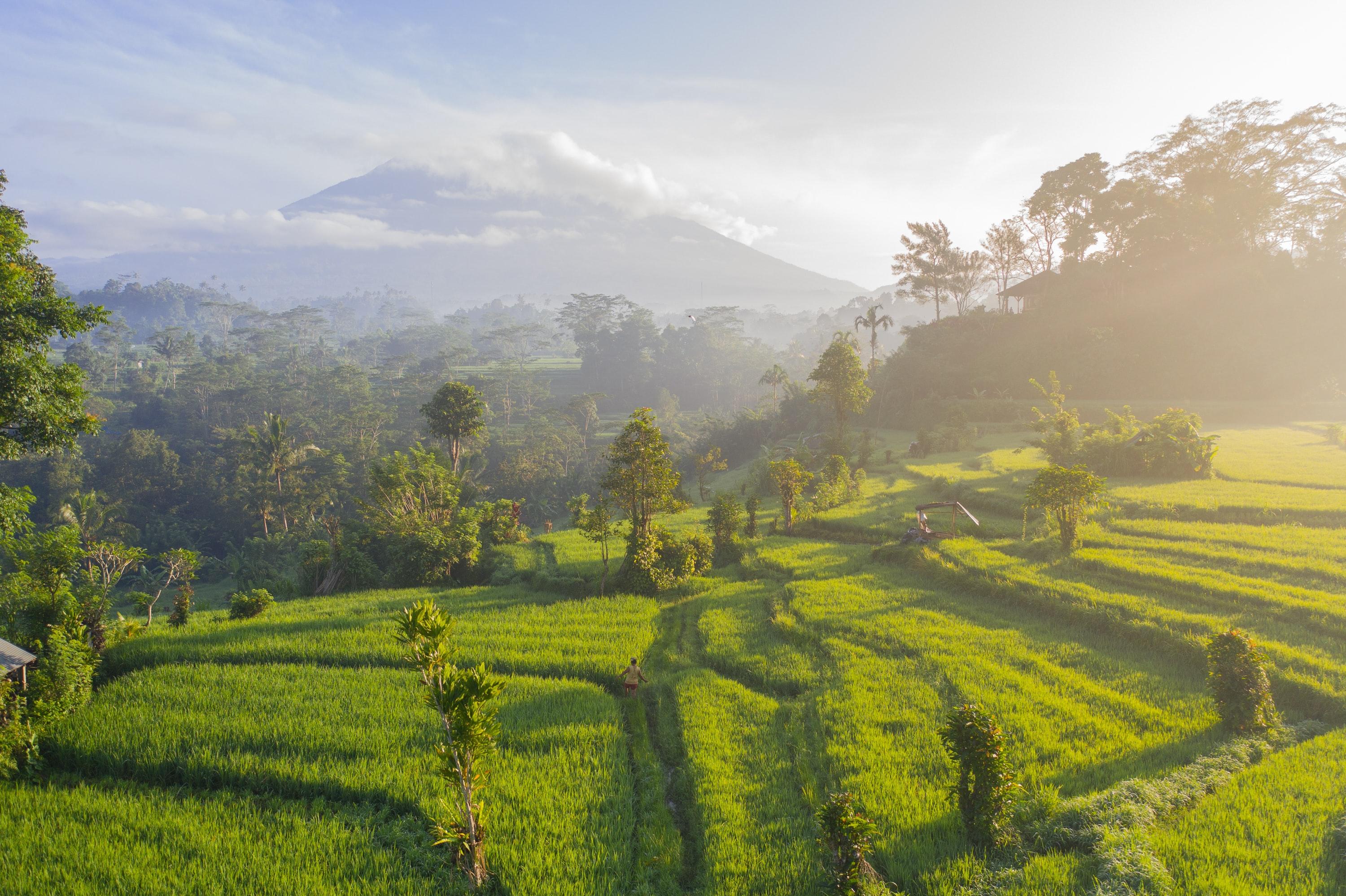  Bali  garde ses fronti res  ferm es aux touristes trangers 