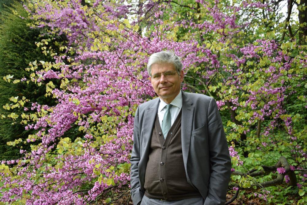Het kasteeldomein staat vol prachtige, soms 200 jaar oude bomen.