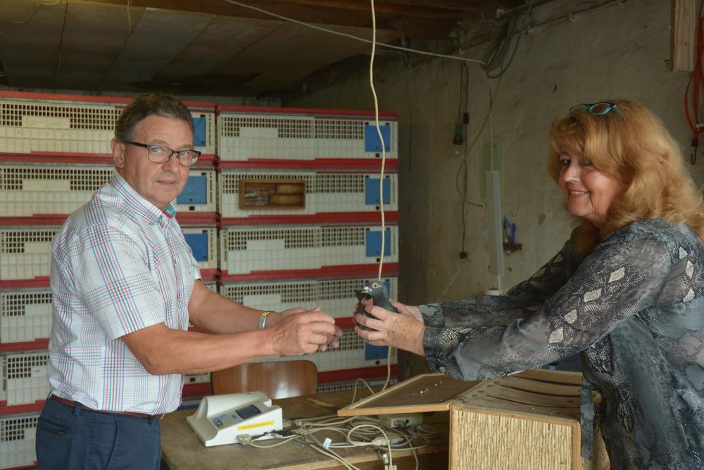 Voorzitter Patrick Duyck en uitbaatster Cathérine Debue bij het inkorven van de duiven: 