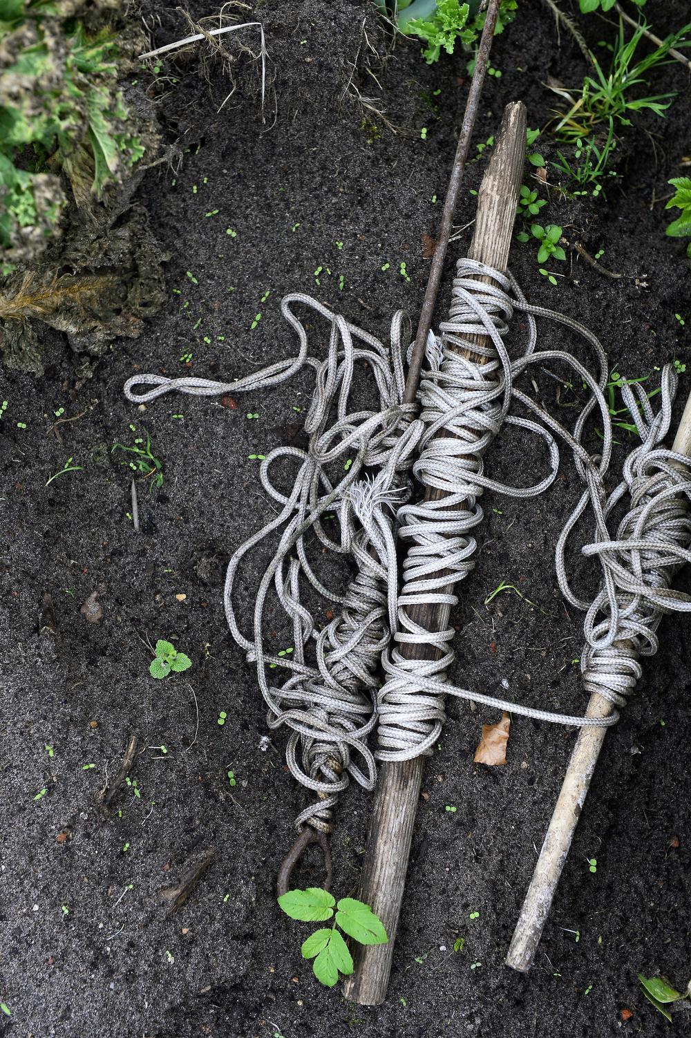 Minder werken, meer genieten, met onze tuinman Angelo Dorny