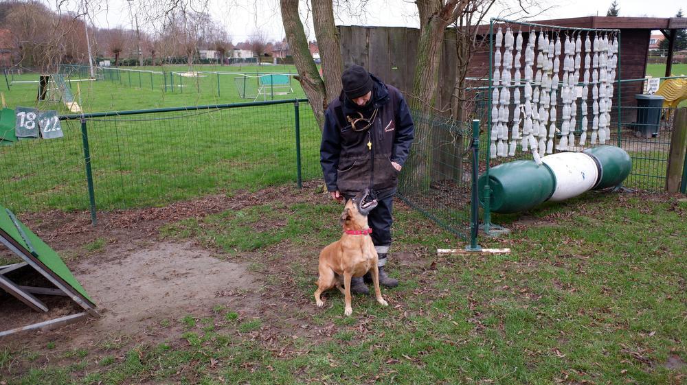De harmonie tussen Indy en Thierry is fenomenaal om te zien.