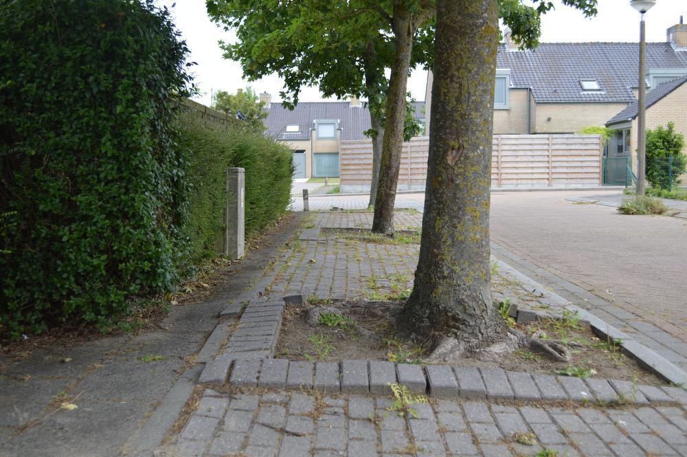 De voetpaden in de Stuiverwijk liggen er slecht bij.