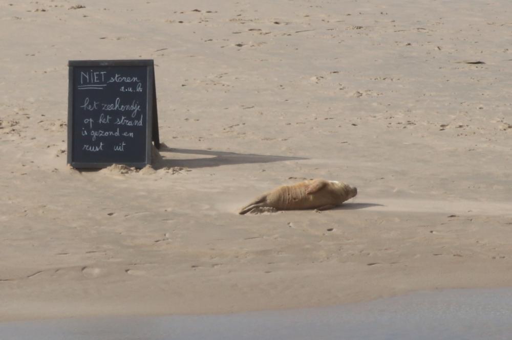 Een krijtbord hield de mensen uiteindelijk op afstand.