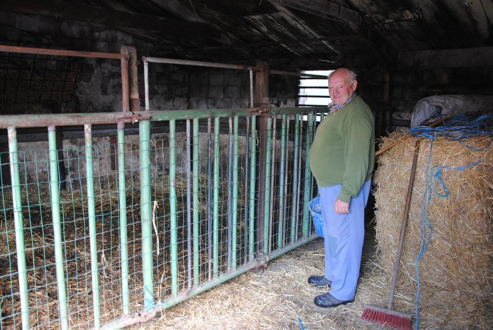 Gilbert op de plaats in de stal waar hij slaapt als er een paard moet bevallen.