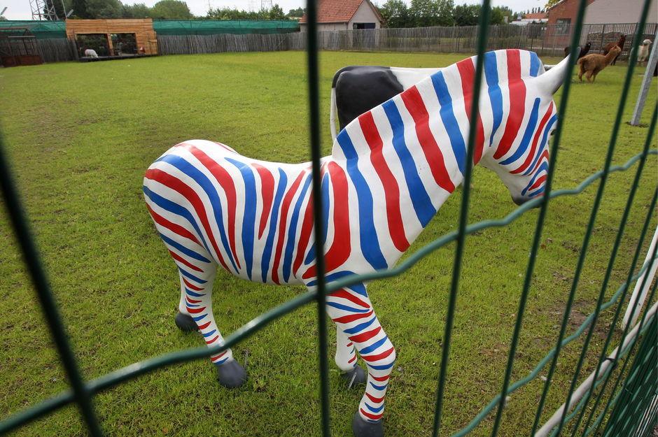 Deze kleurrijke zebra verwelkomt u in tuin- en diercenter Holvoet.