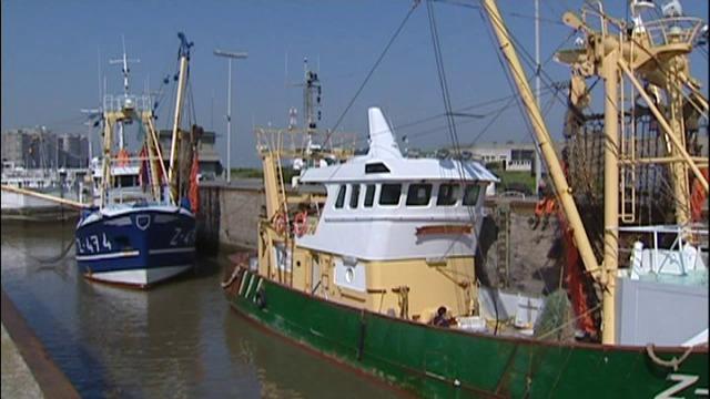 Alle verdachten van fraude rond vismijn in Oostende doorverwezen naar strafrechter