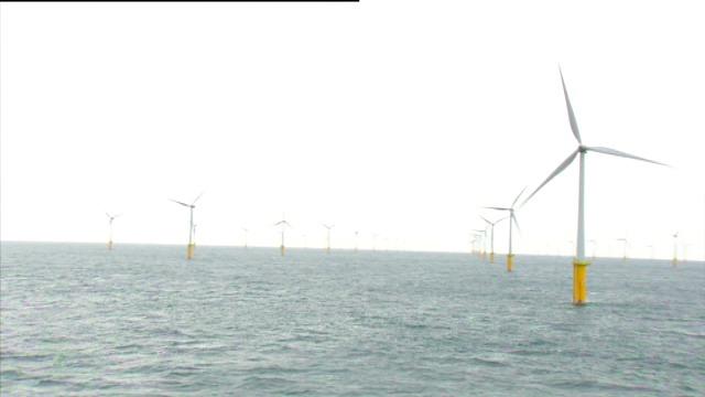 Redercentrale wil windmolenparken gebruiken als visgrond