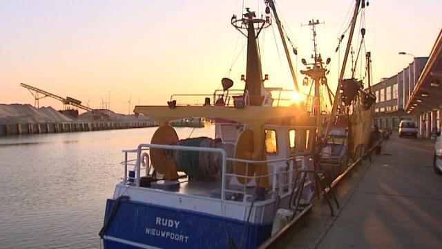 Nieuw veilingsysteem zorgt voor betere prijzen in vismijn Nieuwpoort