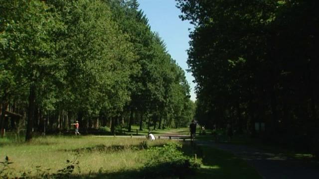Nieuwe bebossingsprojecten in West-Vlaanderen