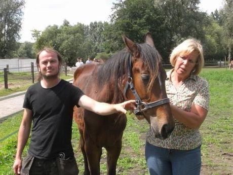 Milde straf voor man die paarden uithongerde in Torhout en Hooglede