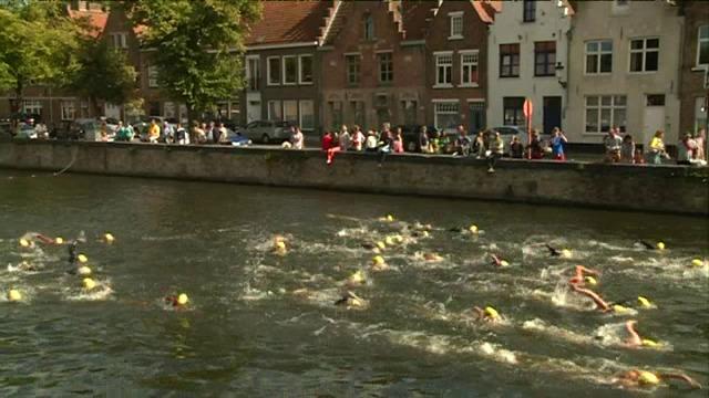 400 ijsberen springen in de reitjes in Brugge
