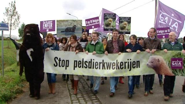 Protestactie van GAIA tegen nertsenkwekerij in Wervik lokt meer dan 1.500 mensen