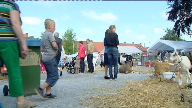 Veel kijkers voor geiten- en schapenmarkt in Eernegem
