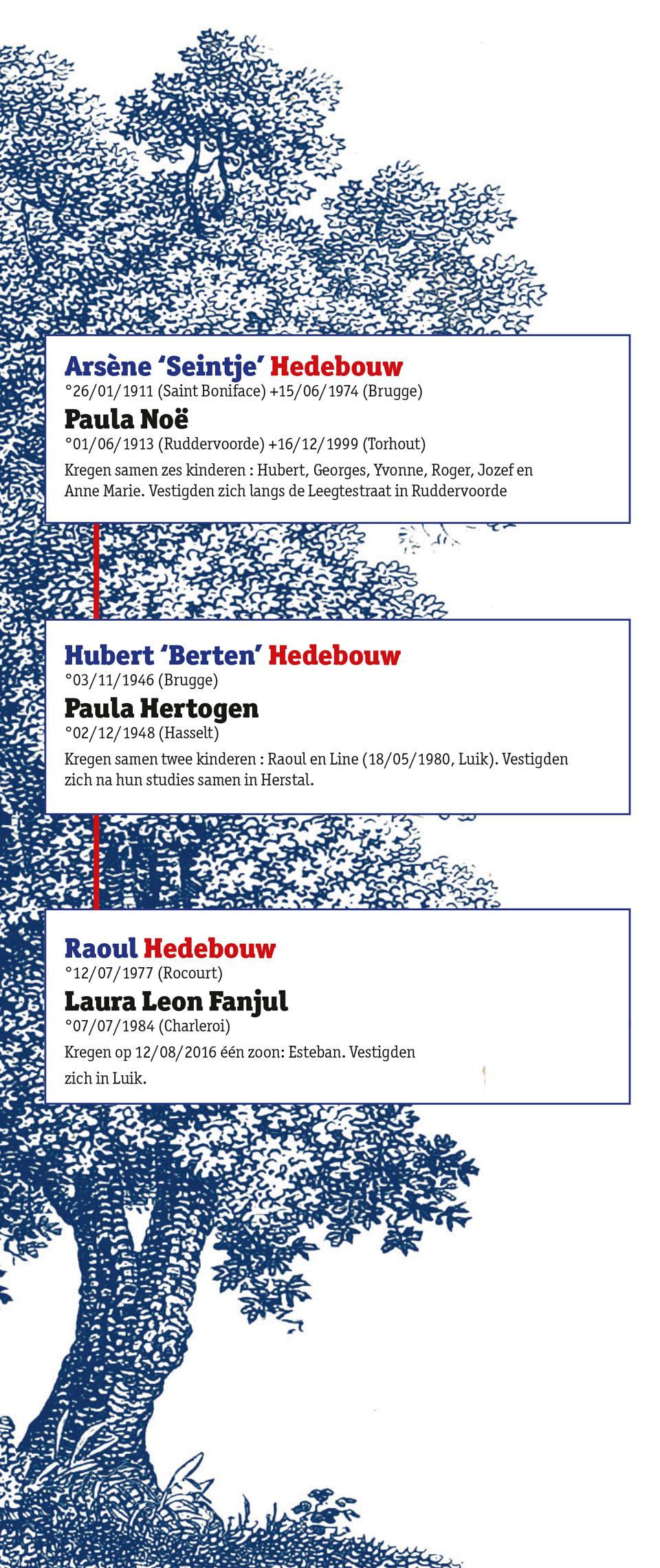 De stamboom van Raoul Hedebouw. (Infografiek KW)