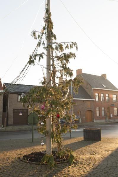 Krombeke heeft dit jaar níét de lelijkste kerstboom
