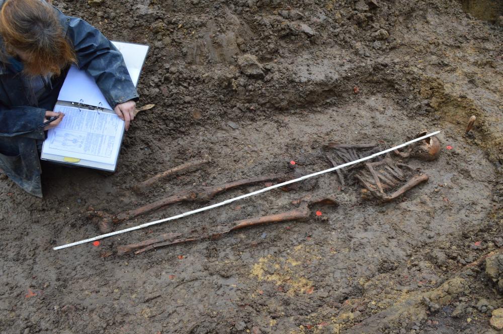 Archeologen vinden in Aarsele 56 skeletten uit de Late Middeleeuwen