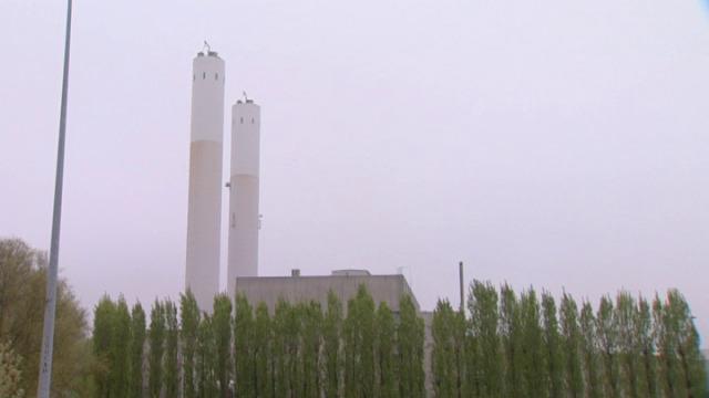 Vier slechtvalkjes geboren op toren elektriciteitscentrale van Harelbeke