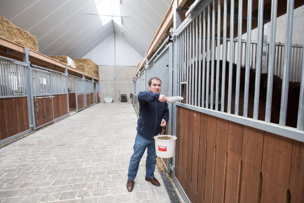 Mathias Wentein in de nieuwe, moderne paardenstallen in Koolkerke.