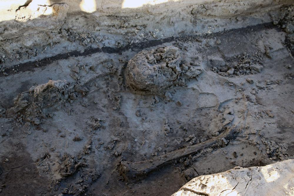 Eerste skeletten komen - opvallend intact - tevoorschijn bij opgravingen in Koksijde