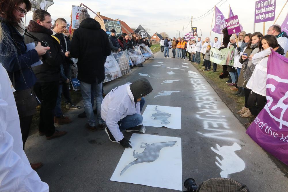 Protest tegen nertsenkwekerij in Langemark