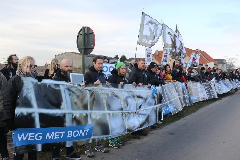 Protest tegen nertsenkwekerij in Langemark