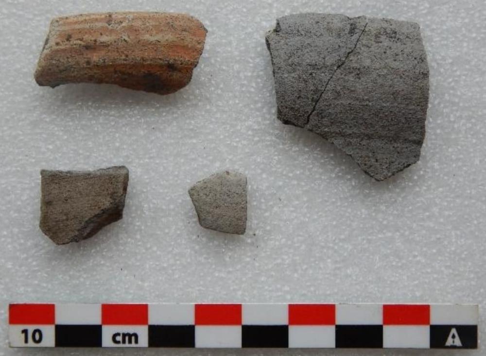Archeologen halen waardevolle relicten boven op site van nieuwe ontsluitingsweg Clarebout Potatoes