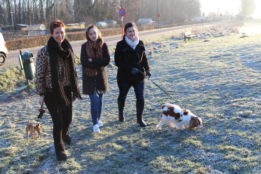 N-VA raadsleden Vanessa Brysse met hond Pipa, Charlotte Verkeyn en Sofie Defever met hond Rosa ijveren er voor om in Oostende huisdieren een laatste rustplaats te geven.