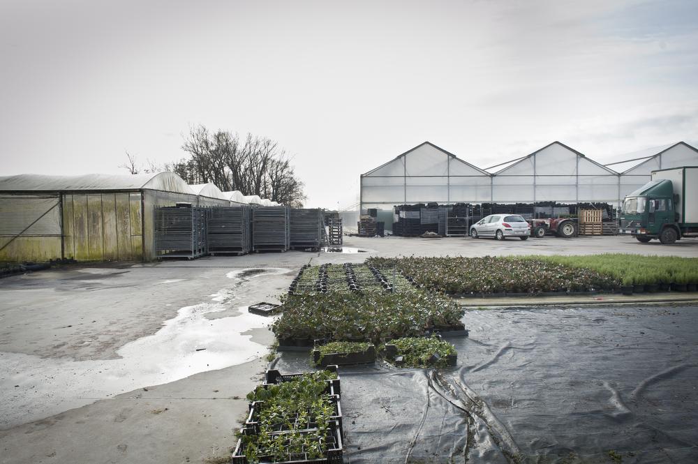 Politie en gerecht zijn al de hele dag bezig met verder onderzoek. (Foto JCR)