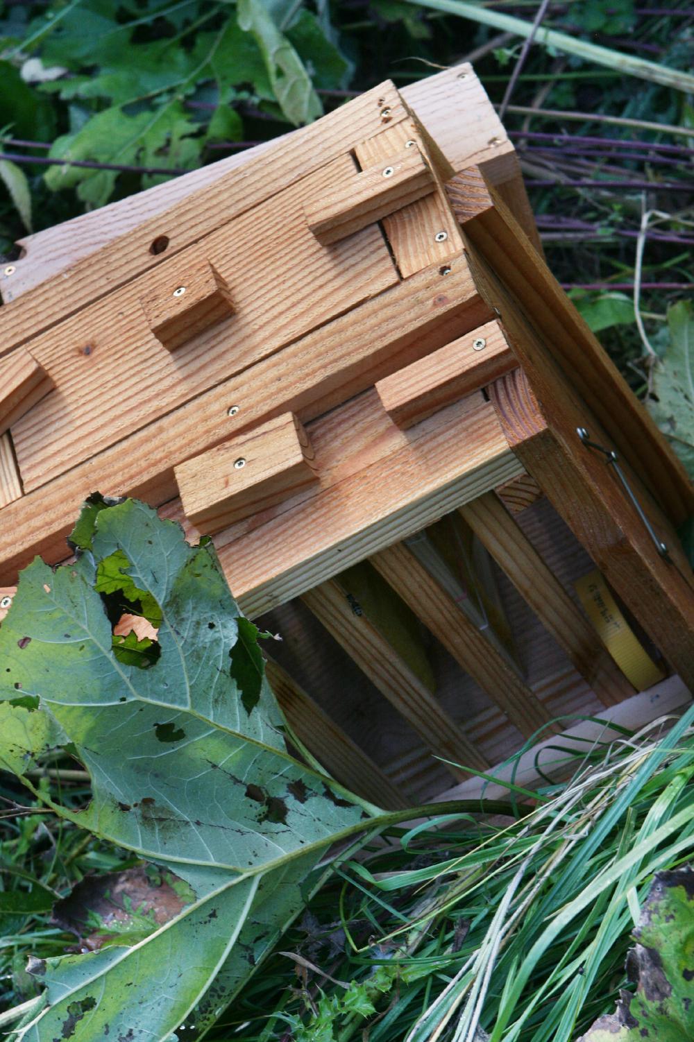 Een van de twee omvergetrapte bijenkasten in het Ravenhofpark.