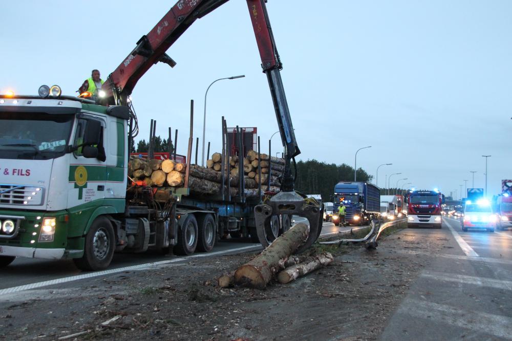 De lading boomstammen kwam volledig op de snelweg terecht en moest op andere vrachtwagens overgeladen worden