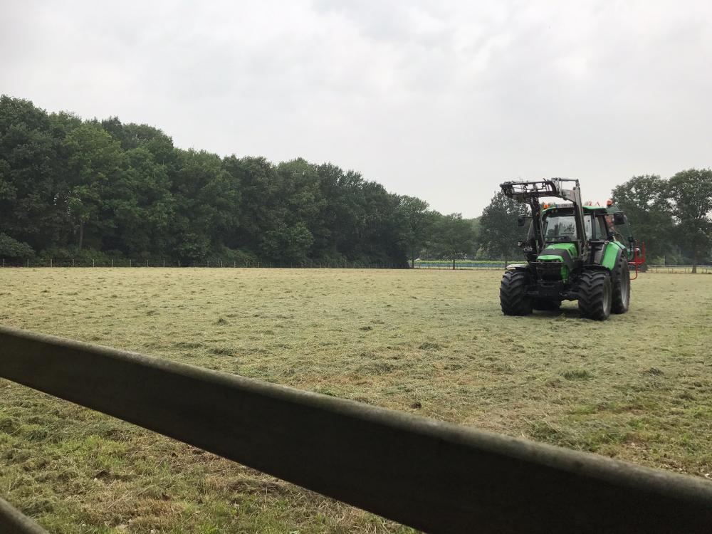 Losgebroken paarden zorgen voor chaos op E40 in Oostkamp