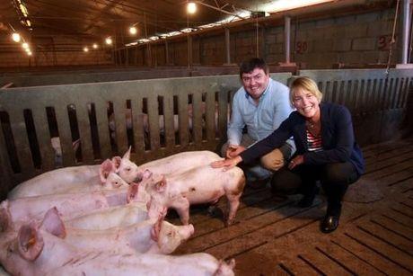 Delhaize investeert 2 miljoen per jaar om Belgisch varkensvlees aan te prijzen