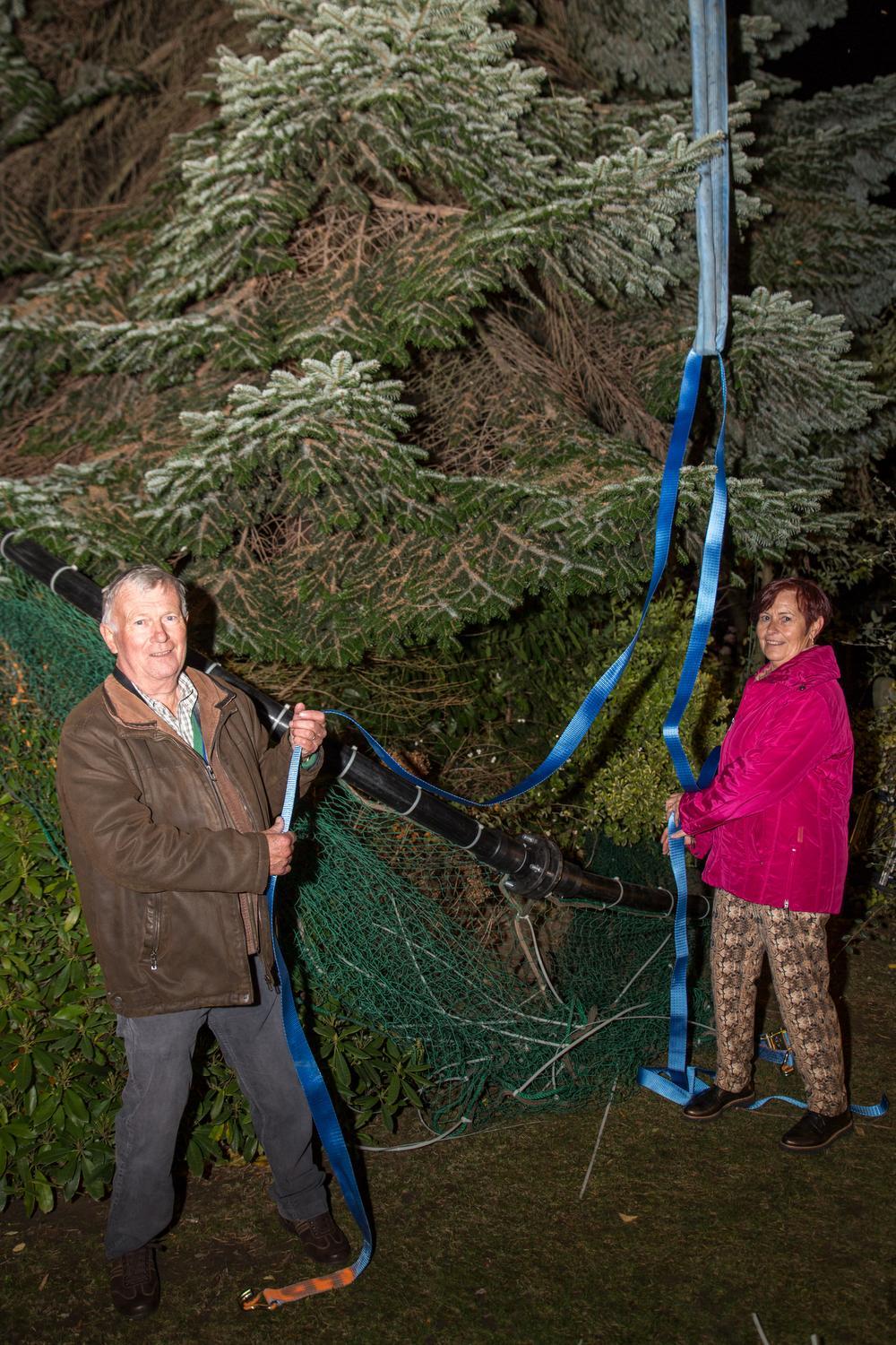Firma Deneckere kiest voor een kerstboom uit Heule