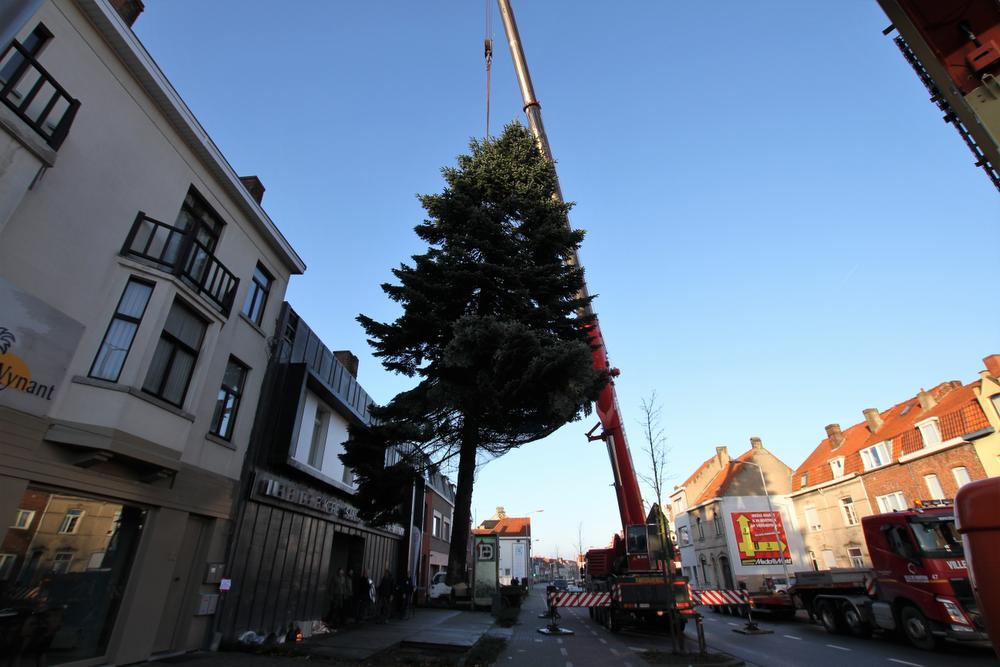 Gigantische kerstboom geïnstalleerd langs Oudenaardsesteenweg