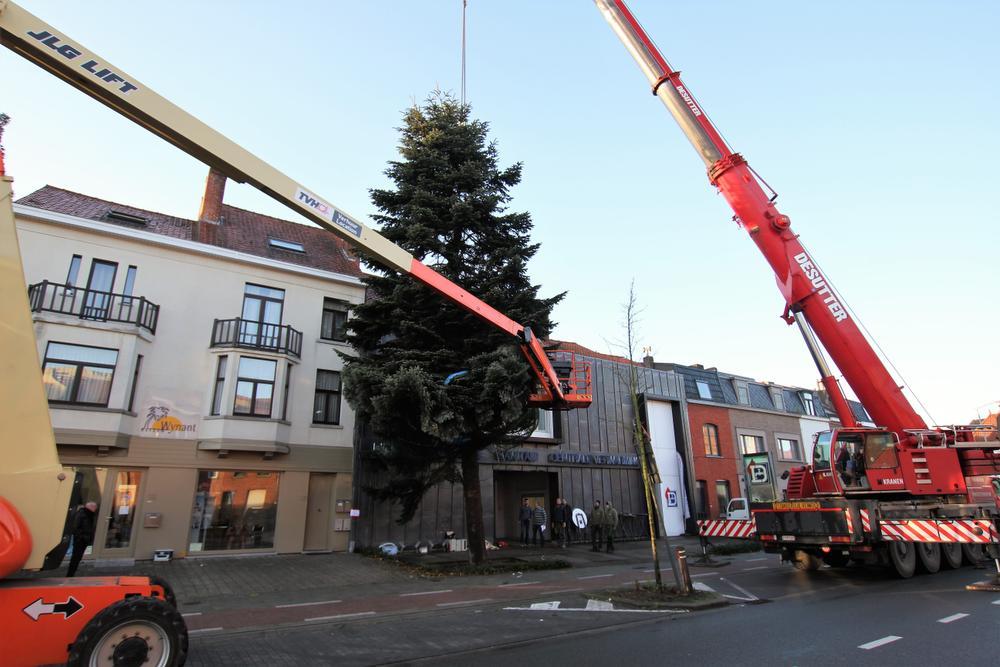 Gigantische kerstboom geïnstalleerd langs Oudenaardsesteenweg